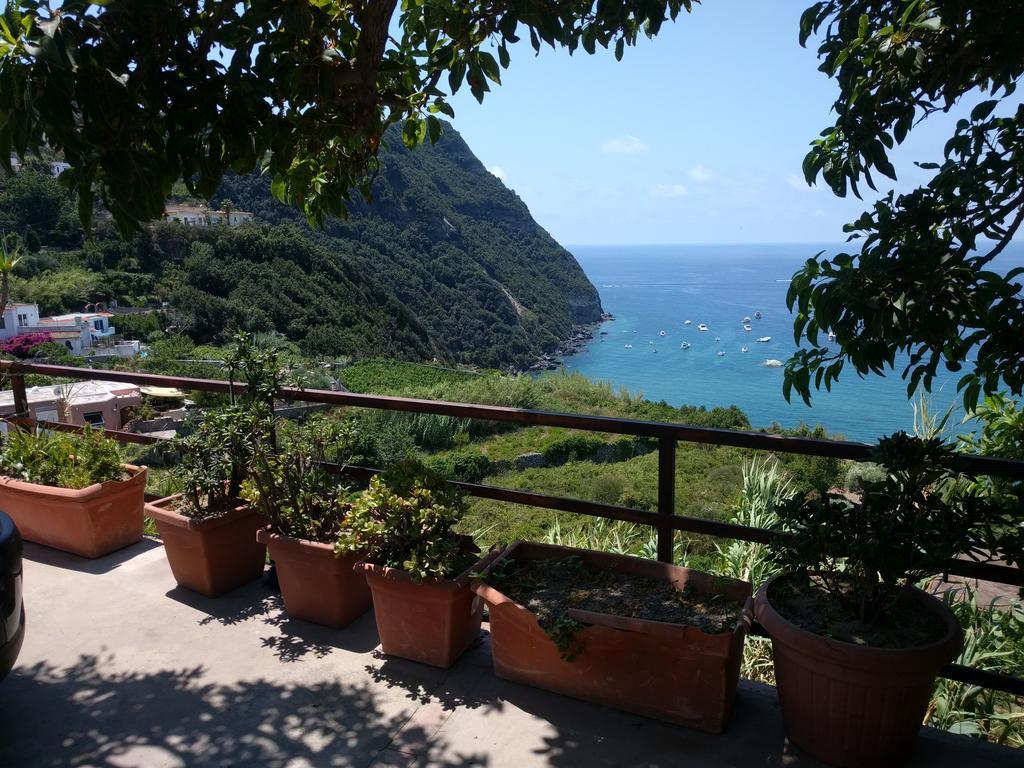 Residence Giardino Del Sole Forio  Luaran gambar