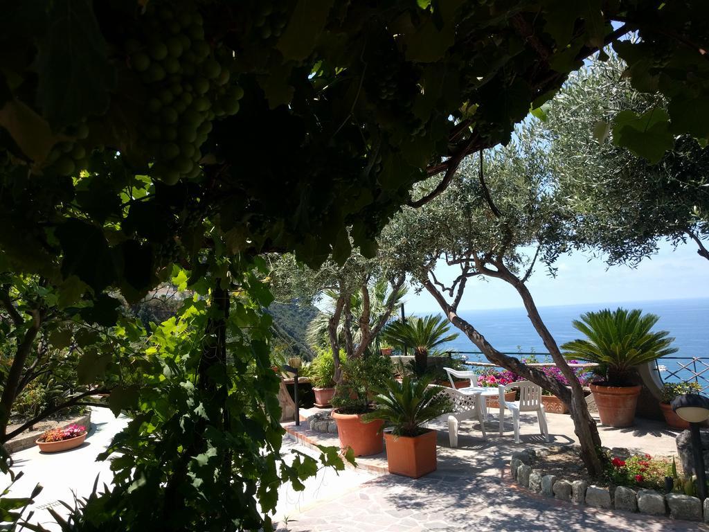 Residence Giardino Del Sole Forio  Luaran gambar
