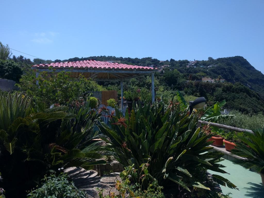 Residence Giardino Del Sole Forio  Luaran gambar