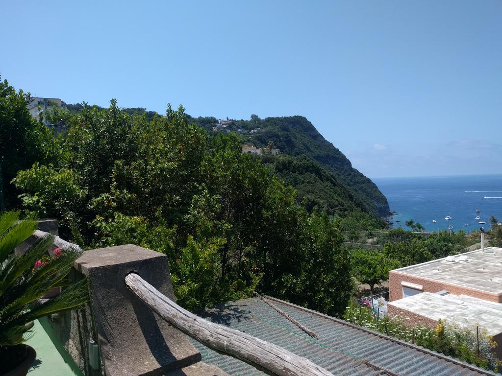 Residence Giardino Del Sole Forio  Luaran gambar